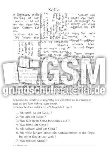 Katta.pdf